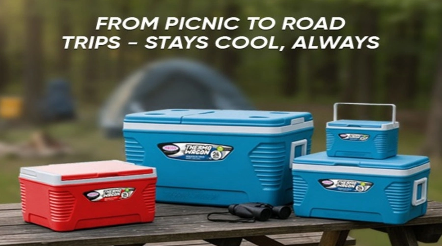 Best Ice Box Ideas for Summer Trips & Parties