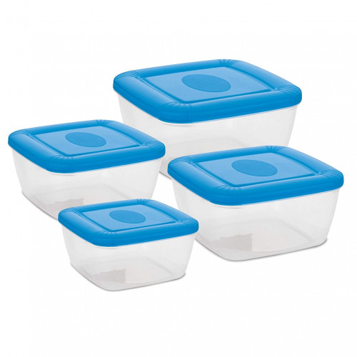 Flora Storage Container Set of 4